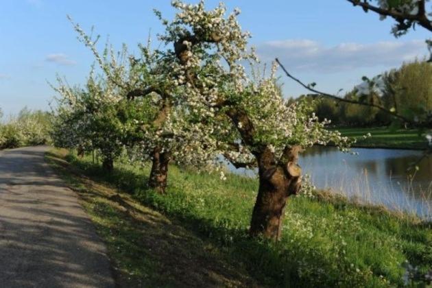 Bed & Breakfast De Neust Beesd Luaran gambar